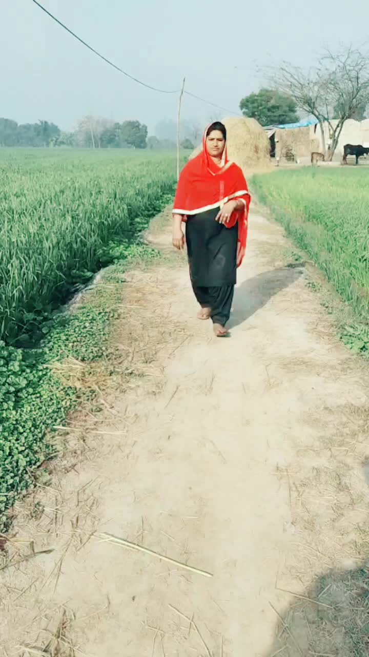 @user8889324861768