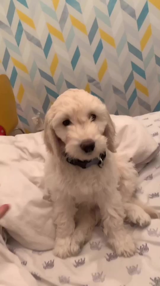 @AC