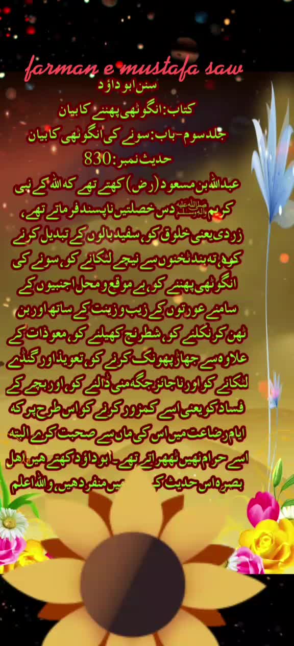 @Max Info