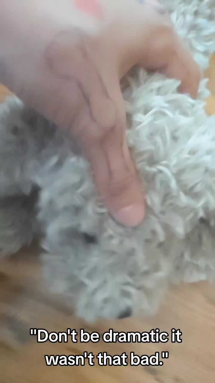 @⚝Zondani⚝