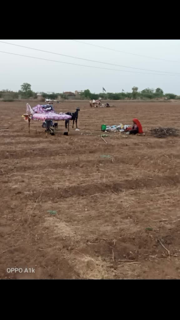@nagjibhai bharvad33