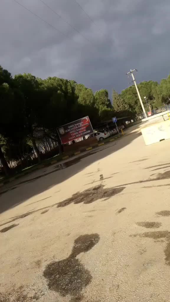 @sarı0951