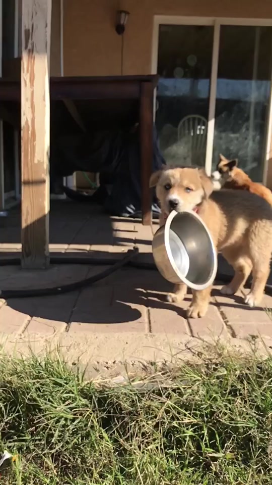@𝐛𝐞𝚈𝙾𝚄𝐭𝐢𝐟𝐮𝐥