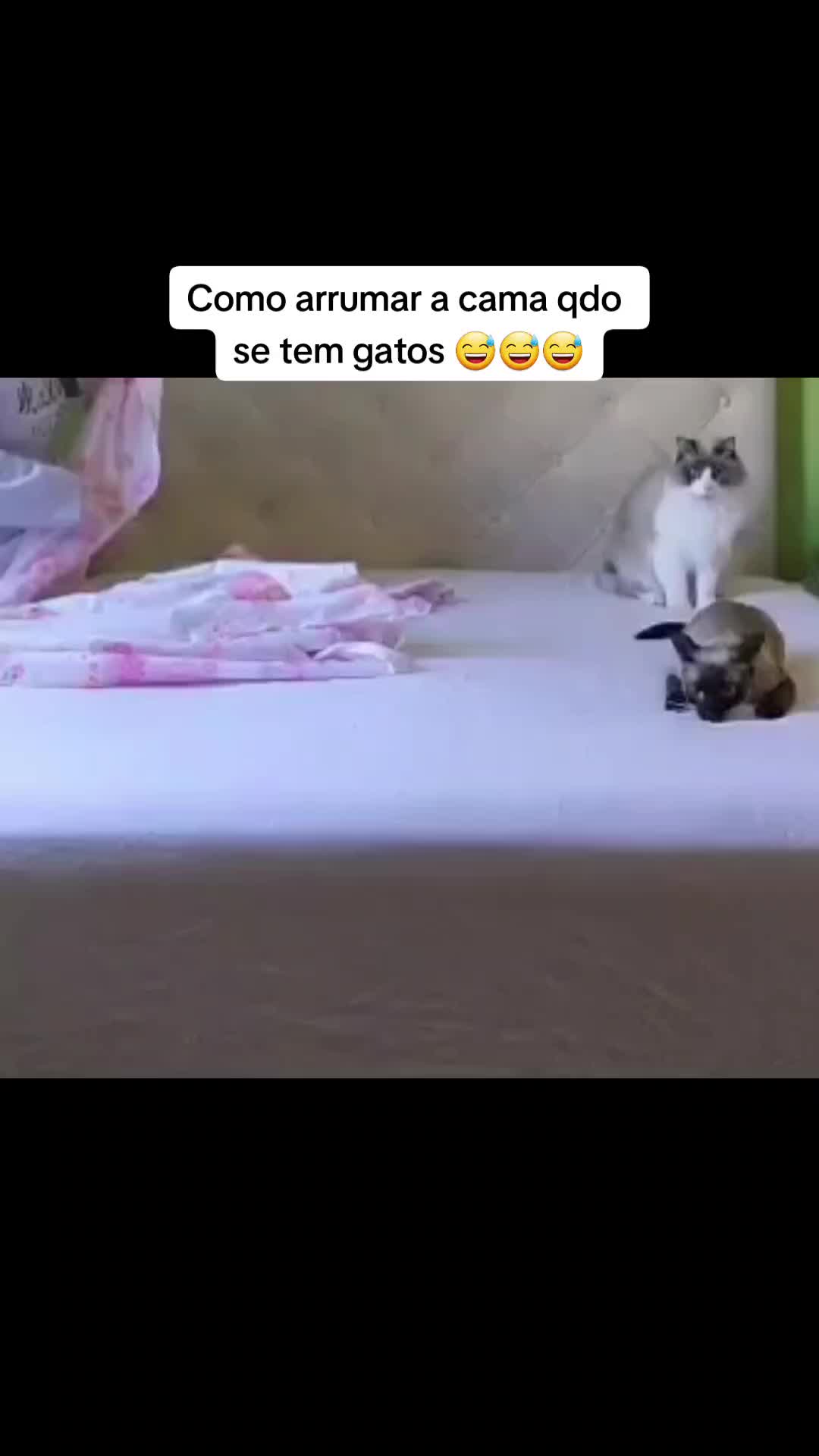 @Regina Oliveira