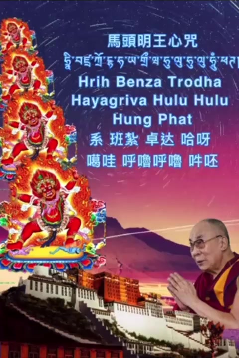 @Tenzin Lhadol