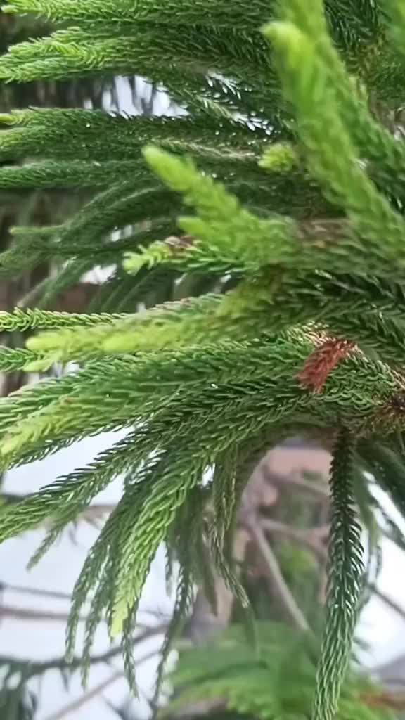 @amrit_nagra01