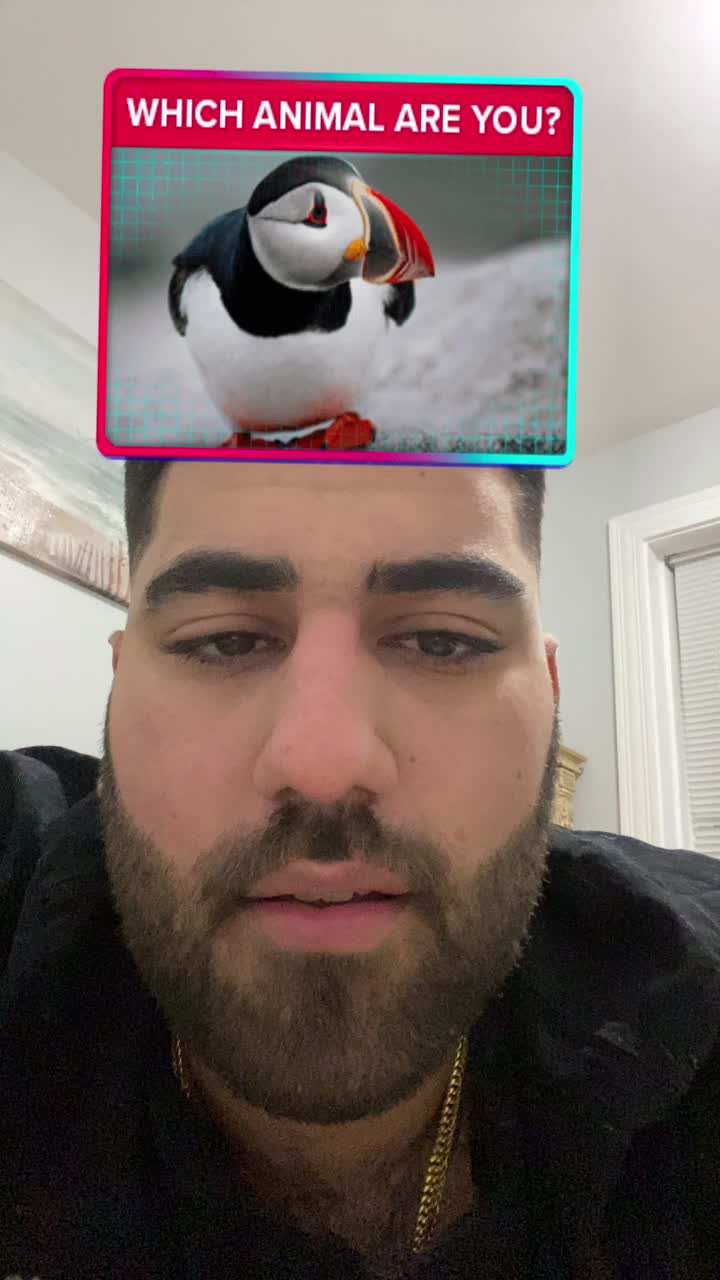 @Zayasolayman