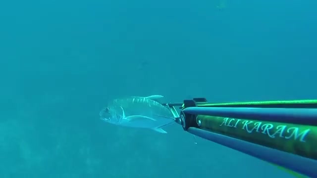 @Sea master