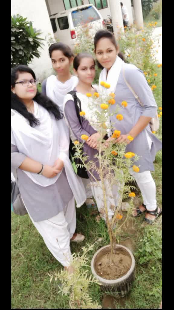 @kratika Chaudhary