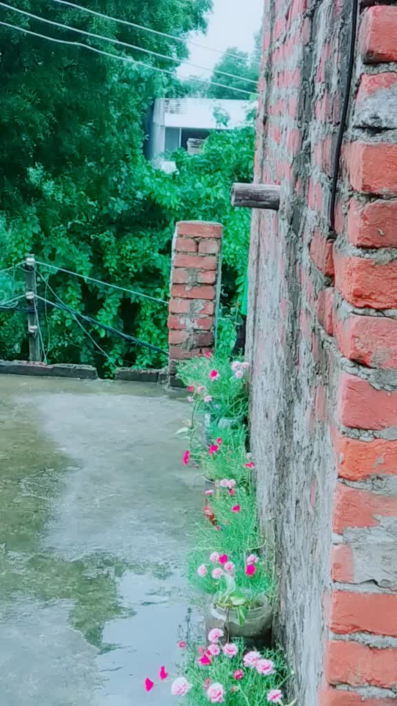 @sanjana600135🥰❤🥰