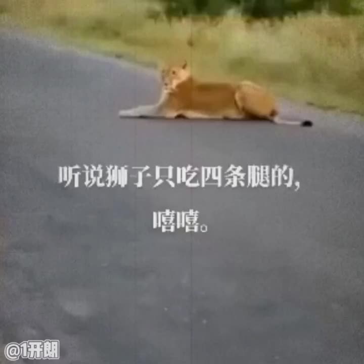 @1開朗 👑