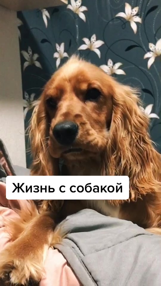 @ka4aniuk_9Na