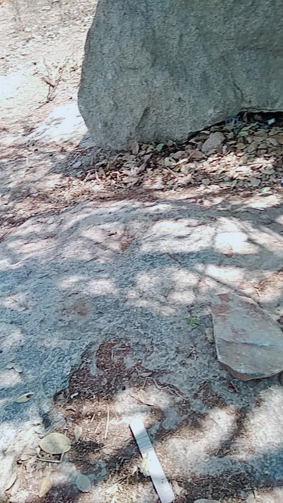 @Balu Yadav