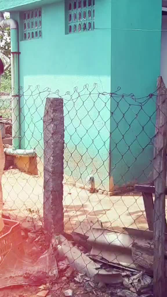 @திருச்சிக்காரன்