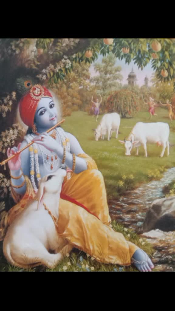 @laxmi mishra