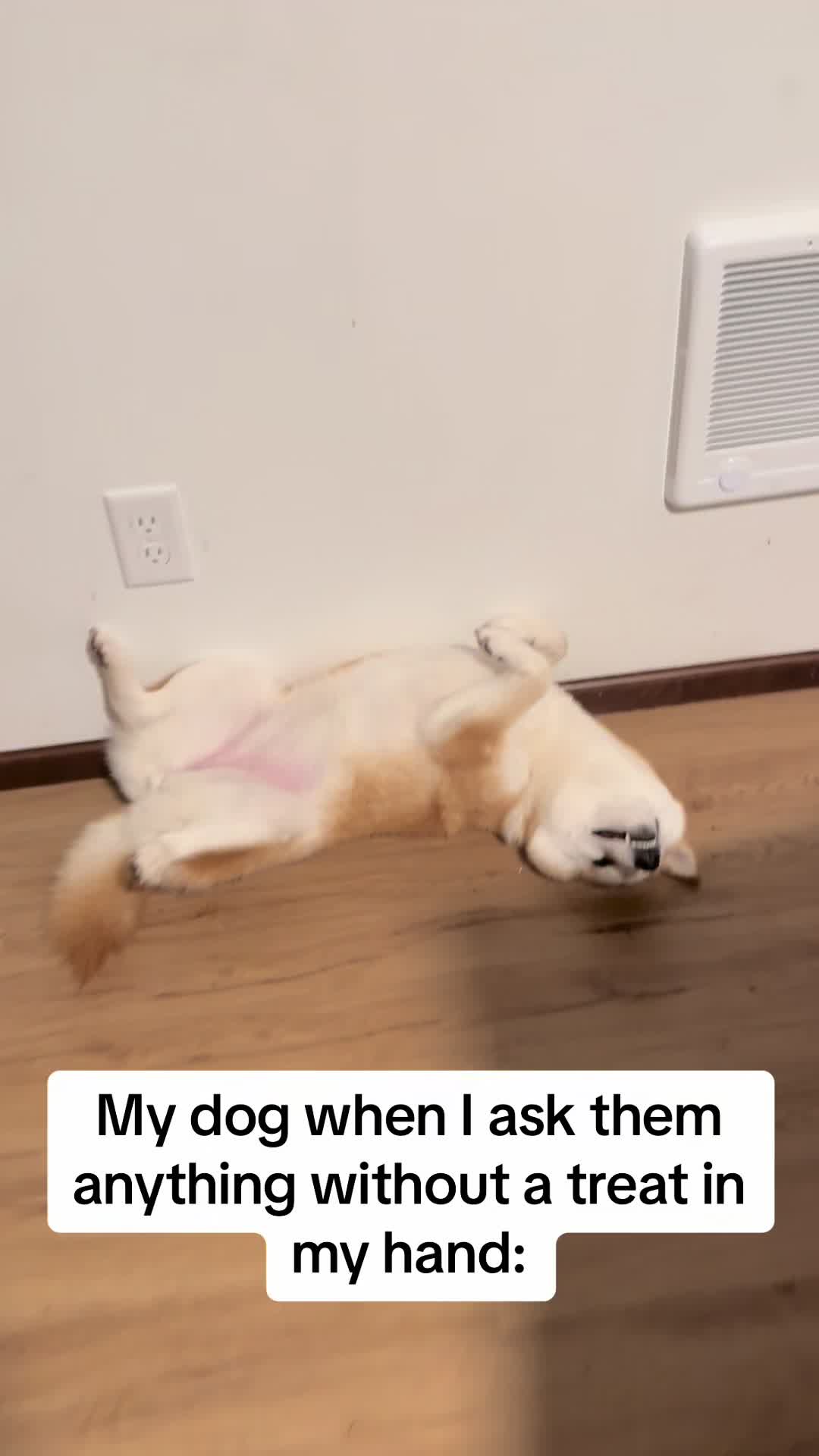@Mochi