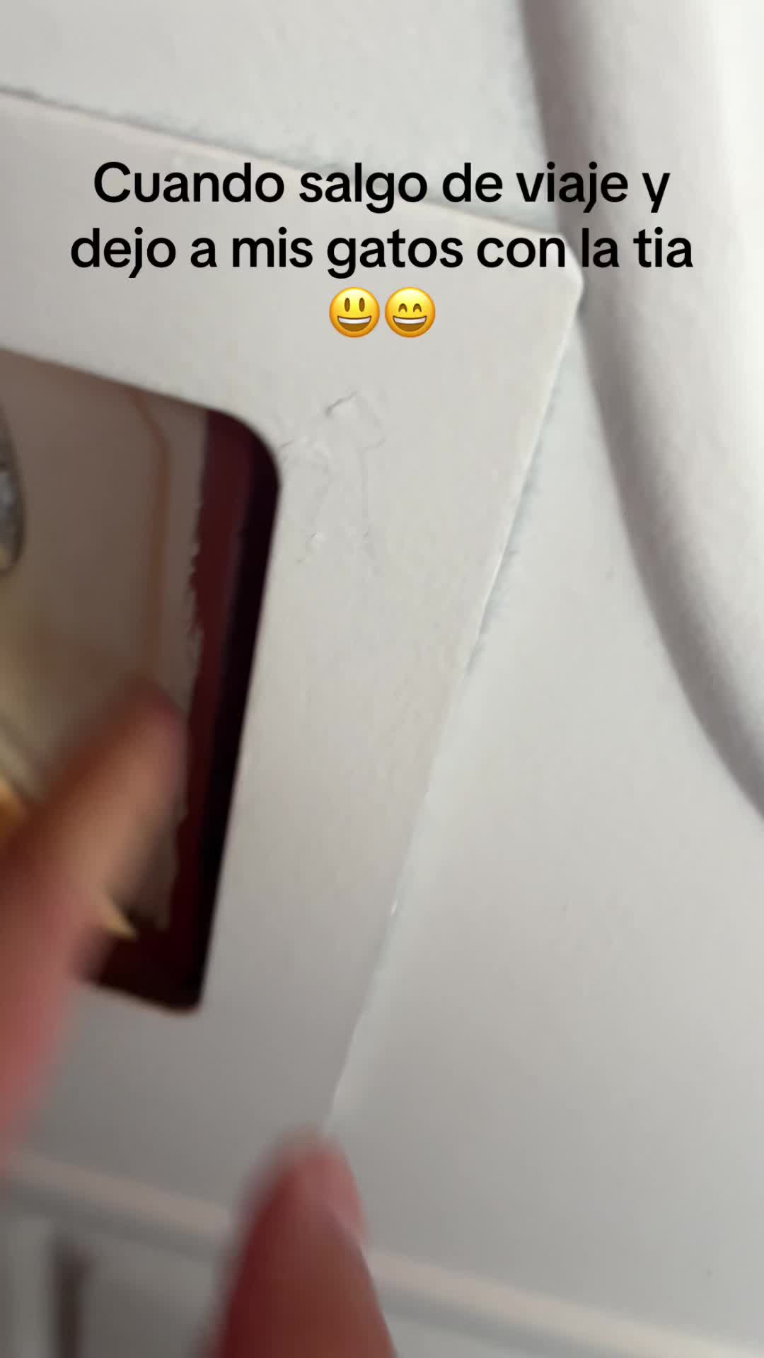 @viajerajenny