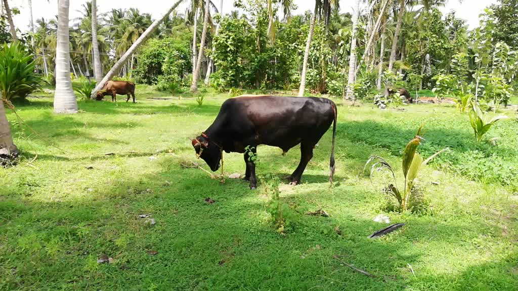 @R.saran agriculture
