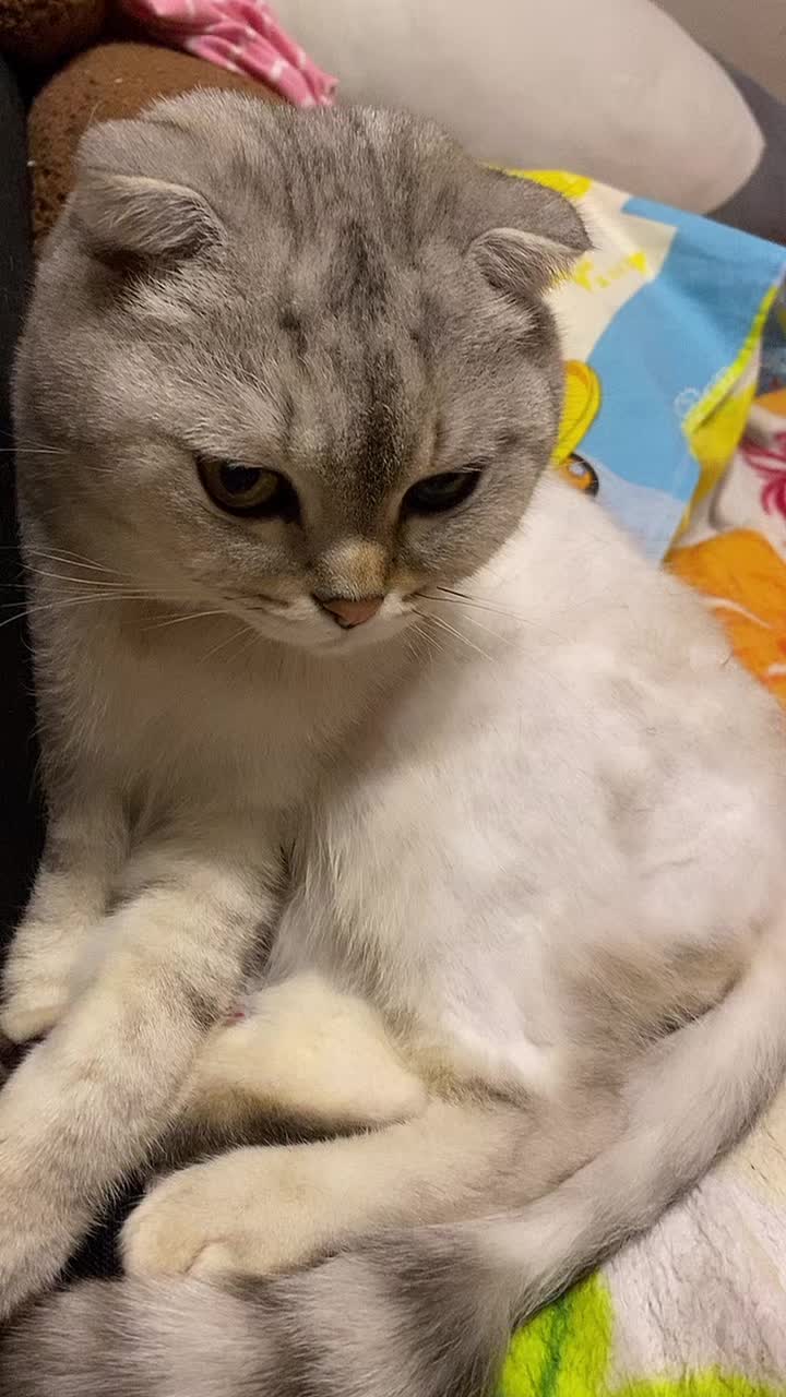 @Оля Ля 🖤