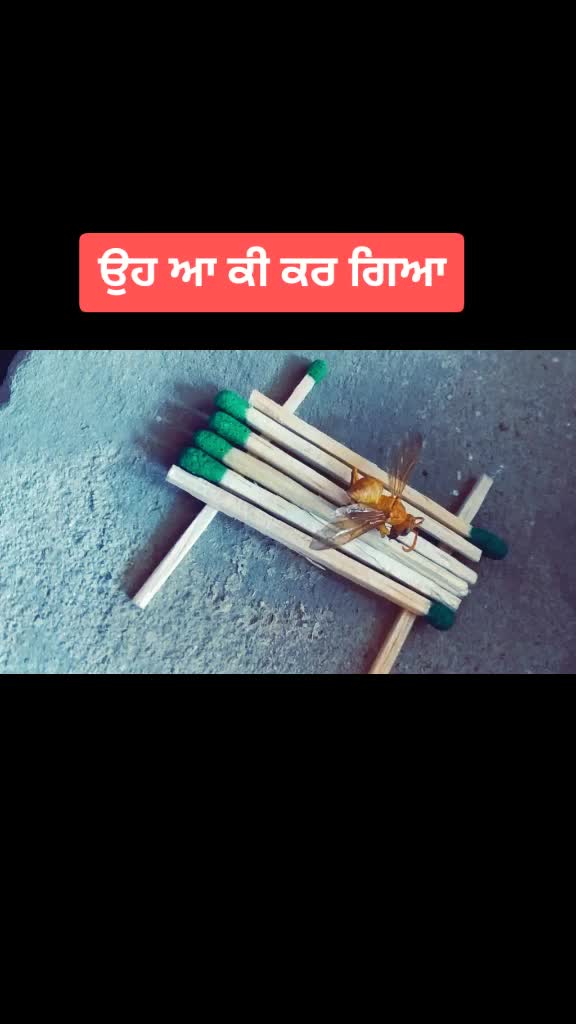 @Gavysandhu