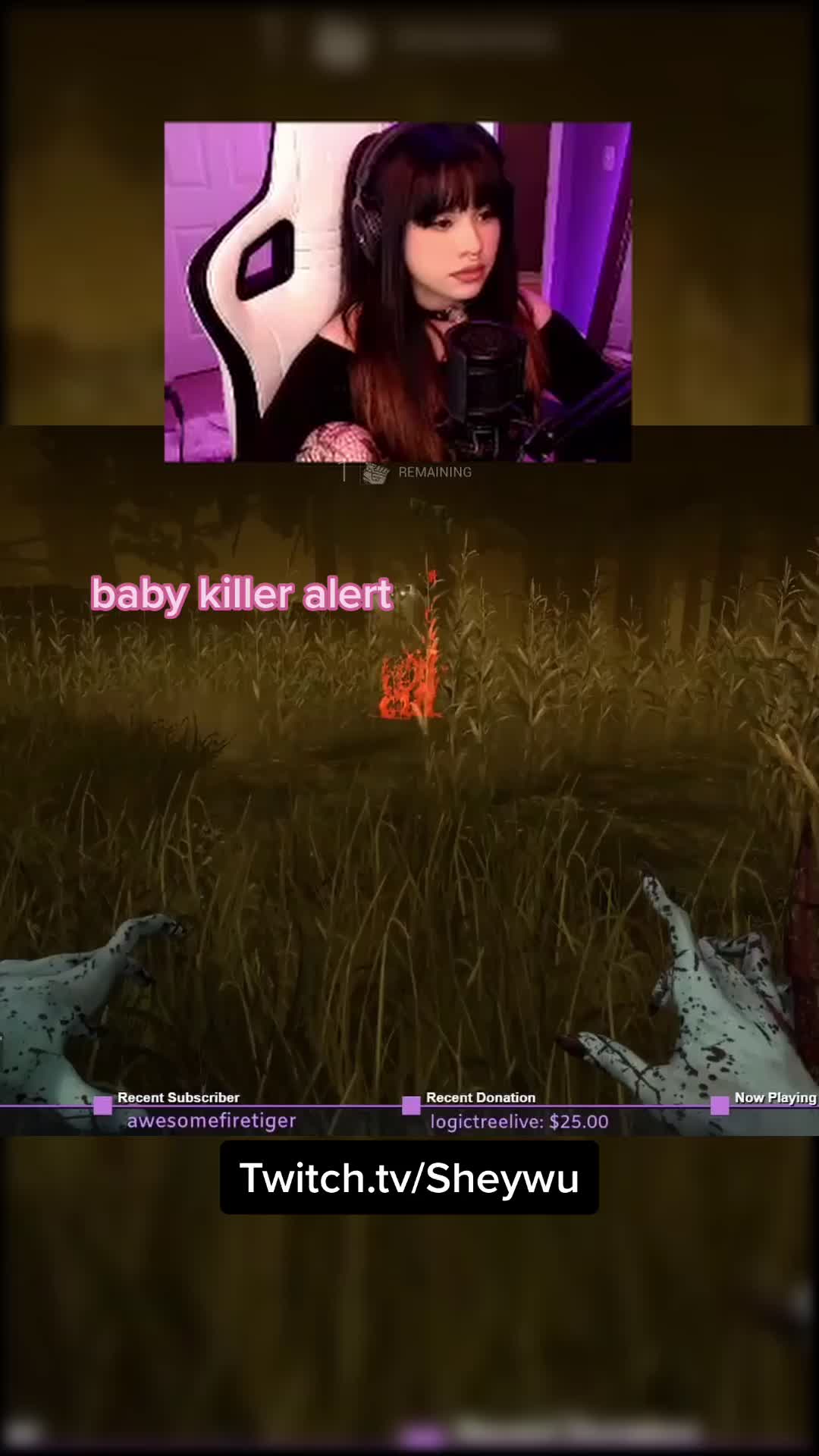 @Sheywu