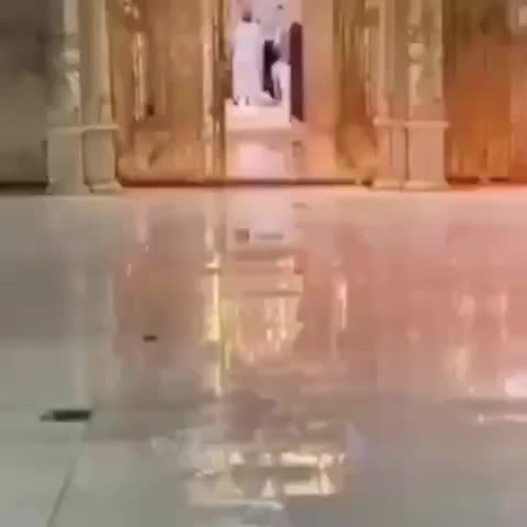 @shailysheikh143