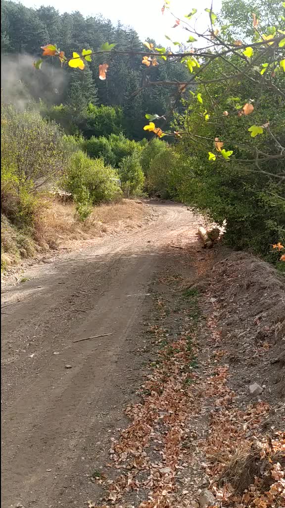 @Remzi Aksoy