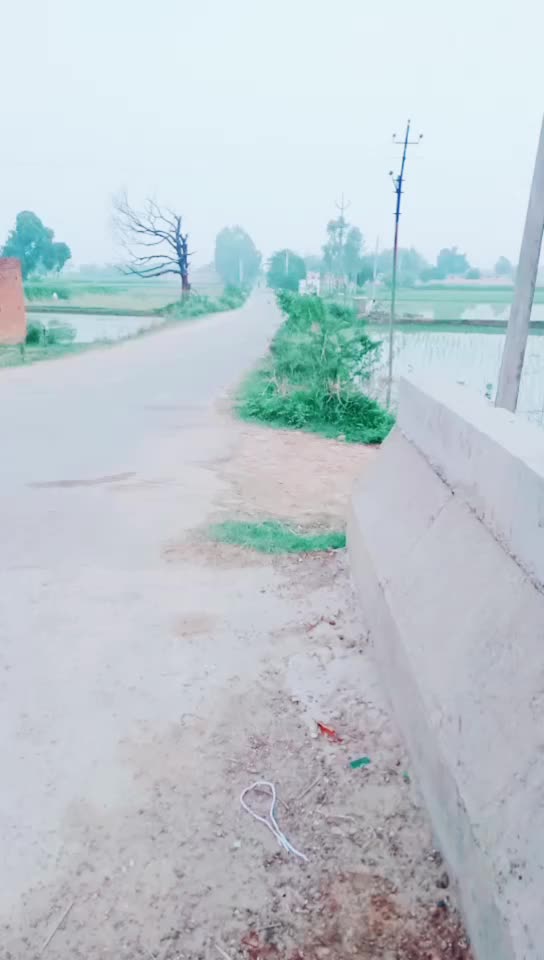 @Shiva Madiniya