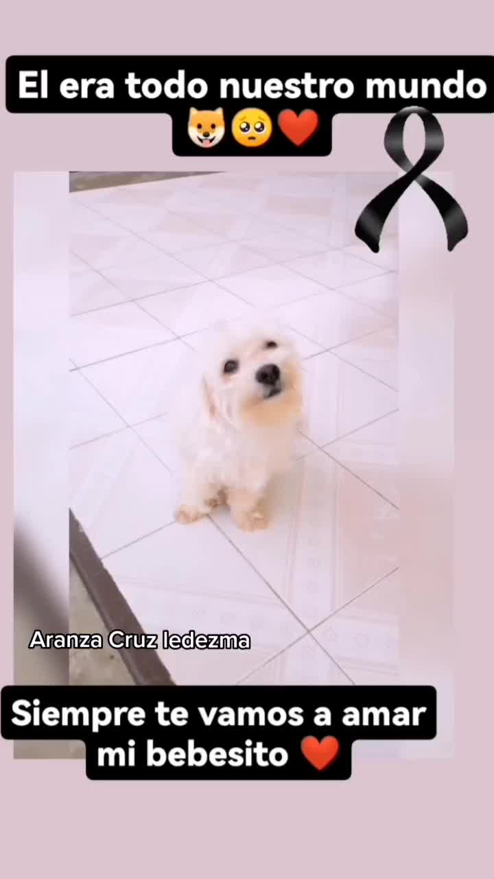 @Aranza Cruz ledezma