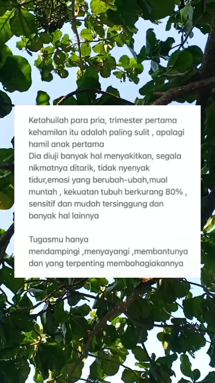 @mawardanisya