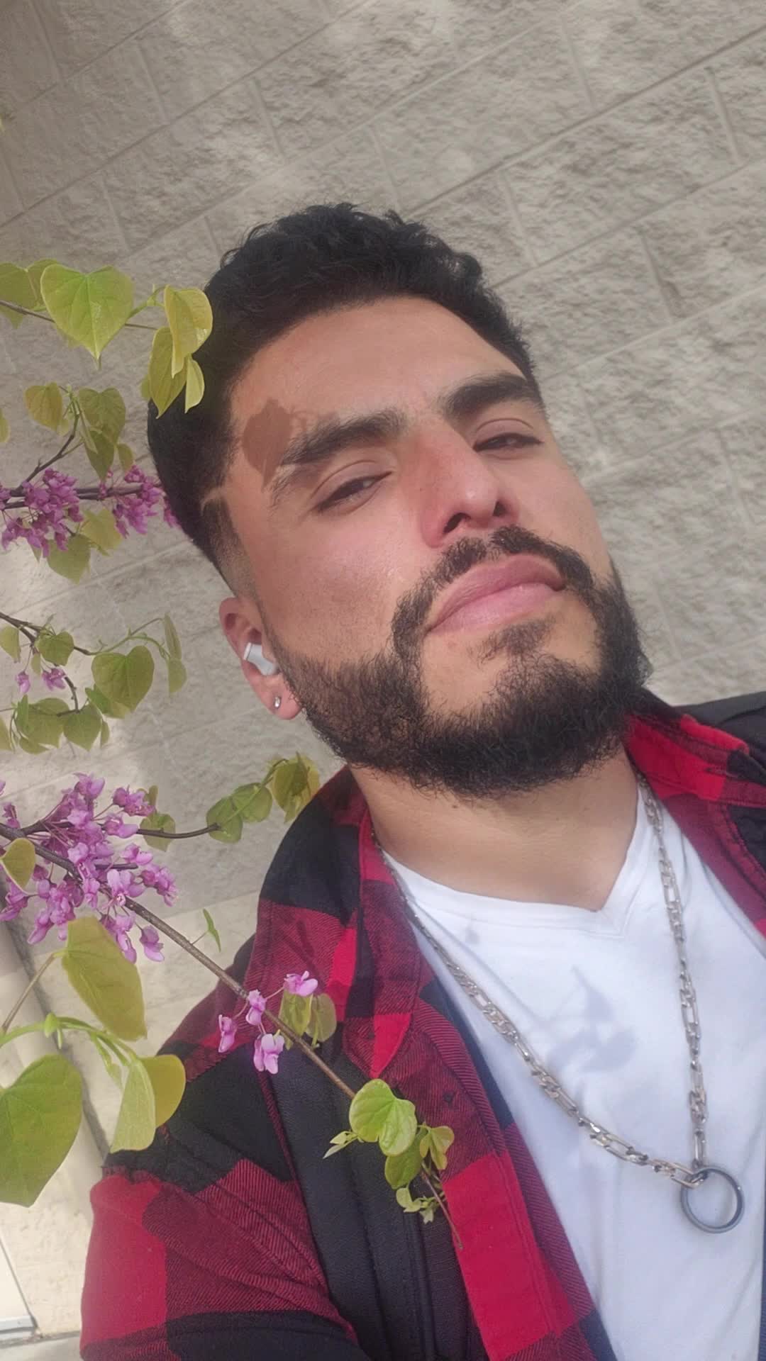 @Your Vegan Boyfriend Pacato