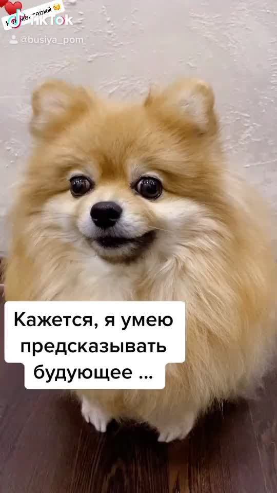 @busiya_cutie🐻♥️