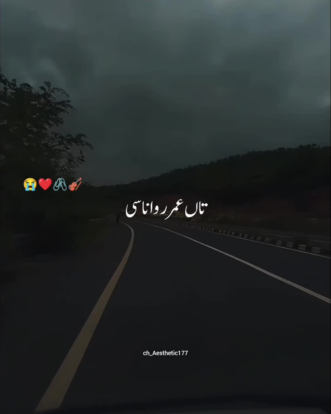 @🦋Aesthetic🦋