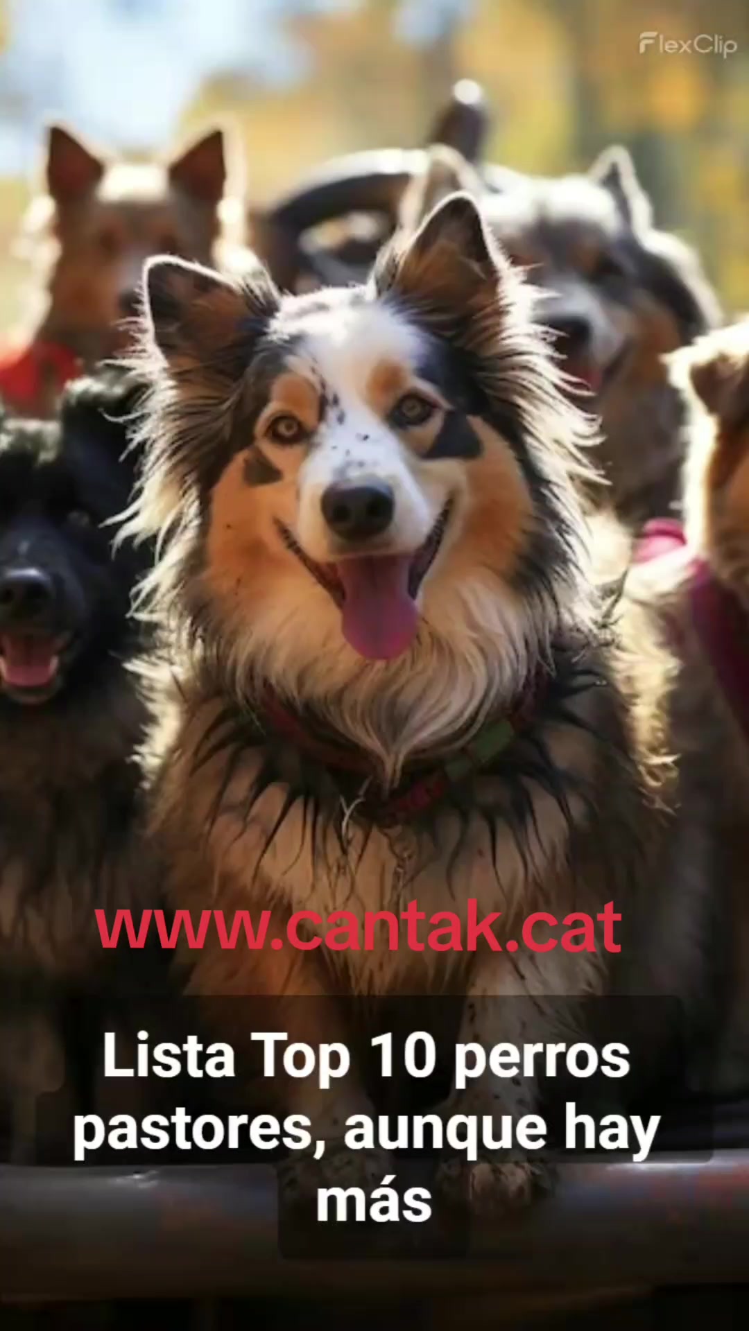 @CanTak