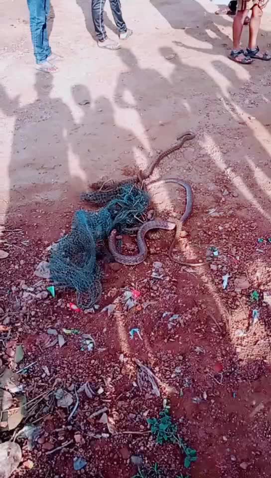 @Kanhu Swain