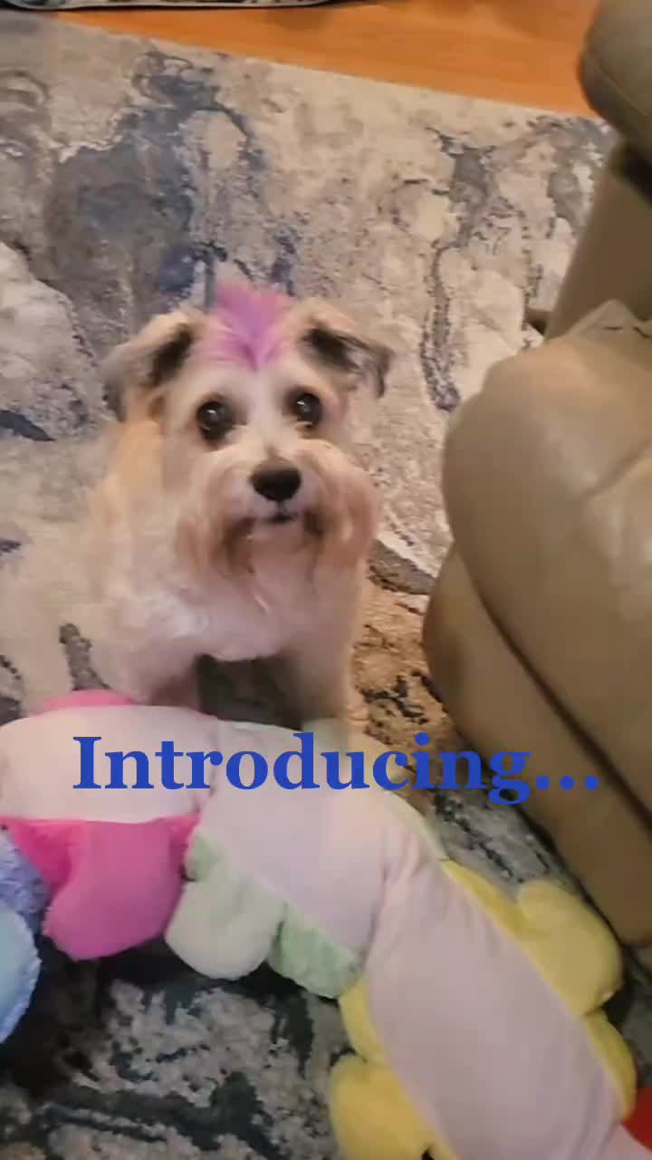 @FurMomLizz