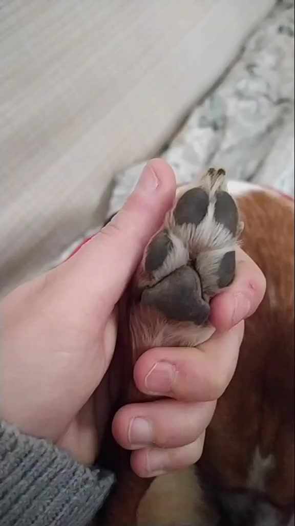 @Claudia Napolitano