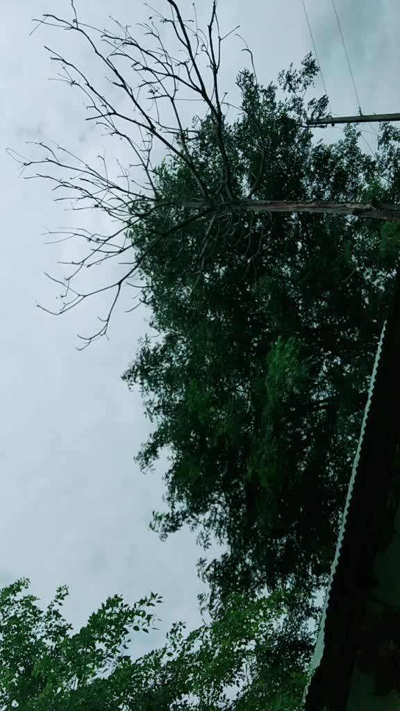 @Vijay pole