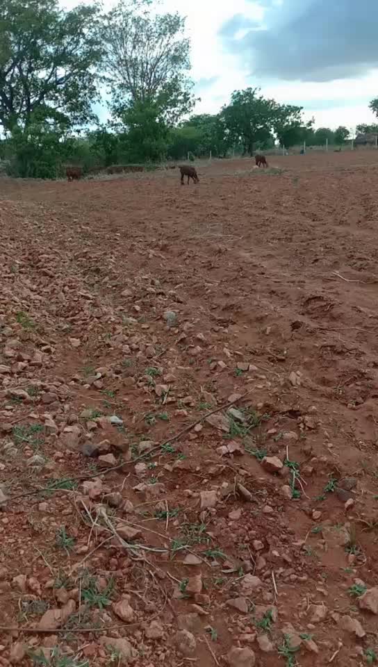@k.nagendra