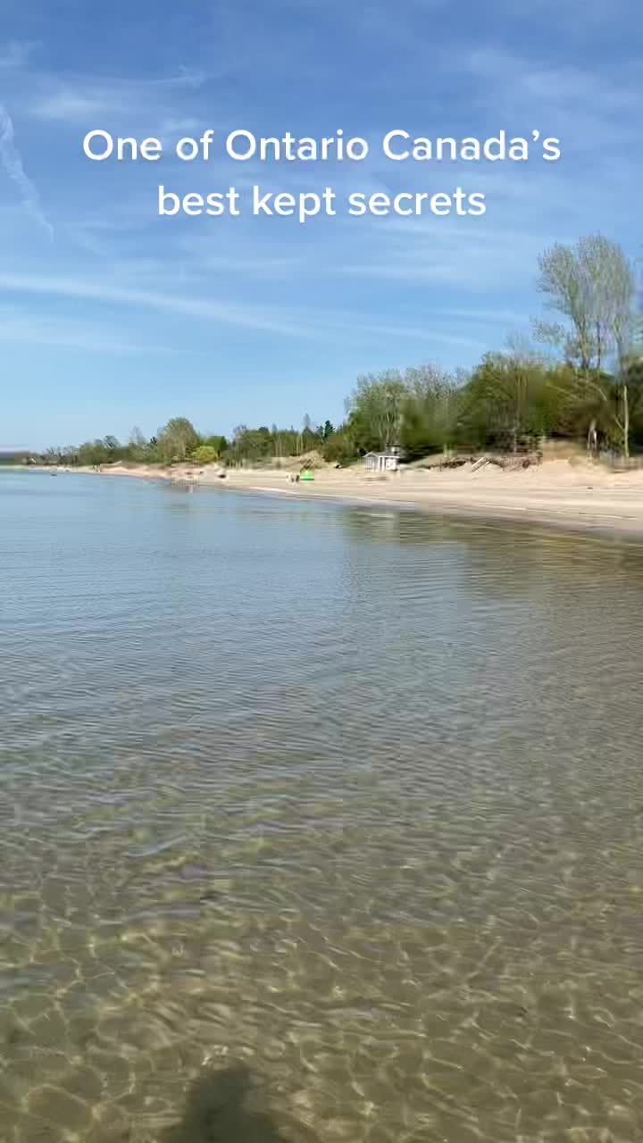 @NewfieInThe519🇨🇦🍁
