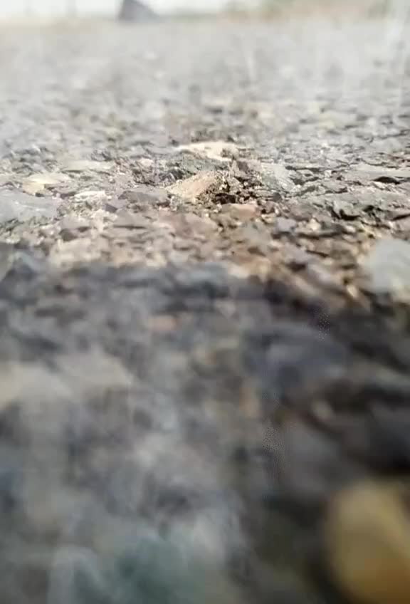 @Rj 19 Bislapur🔥