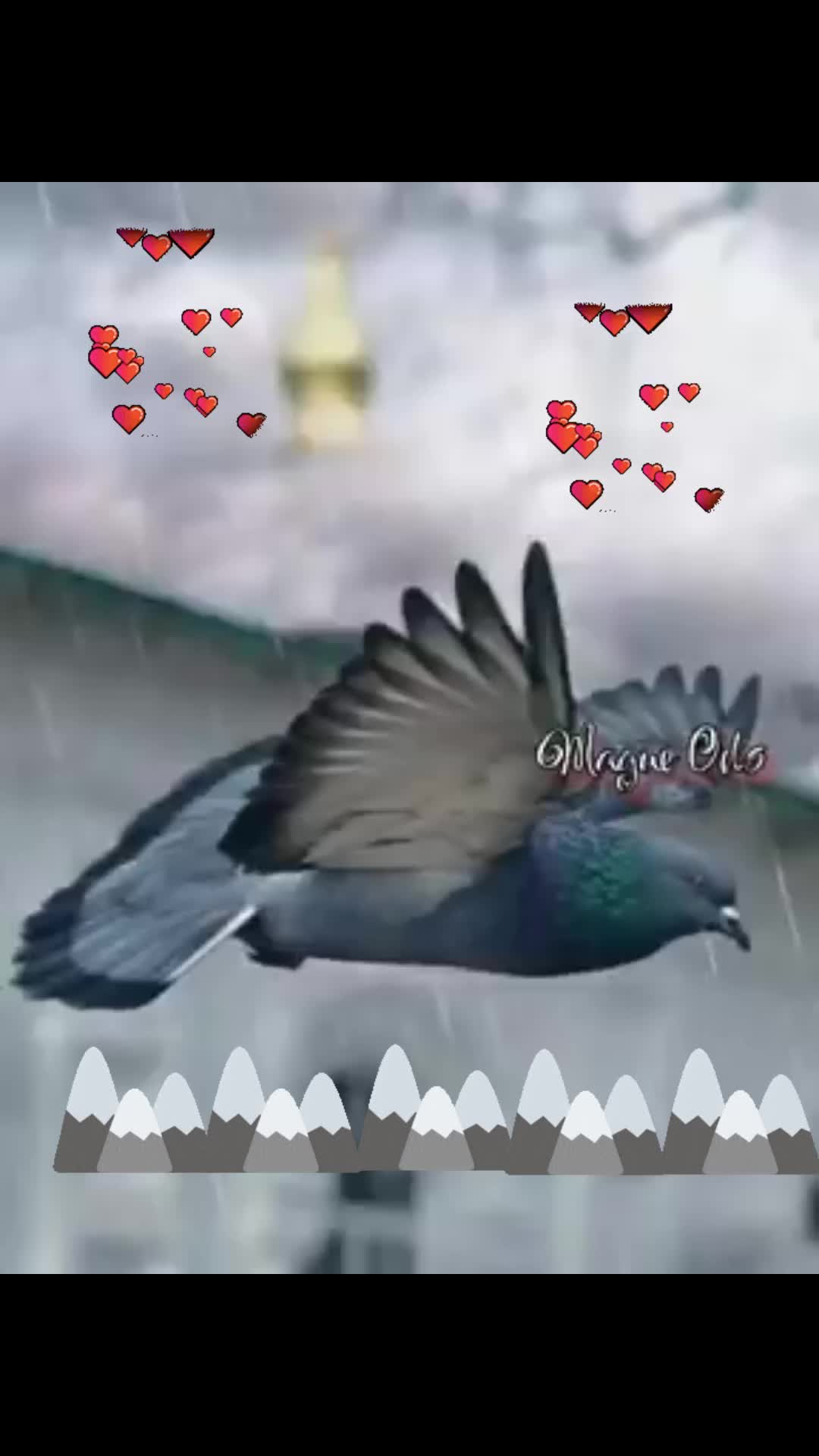 @Elyp1981