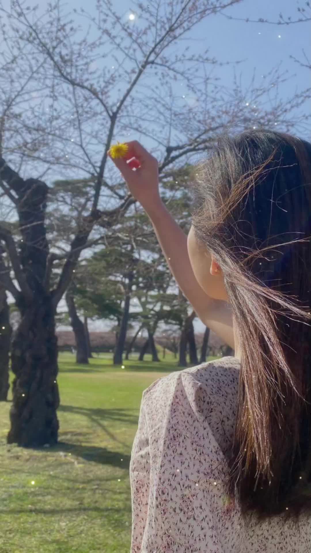 @đđŤPYAE đđť