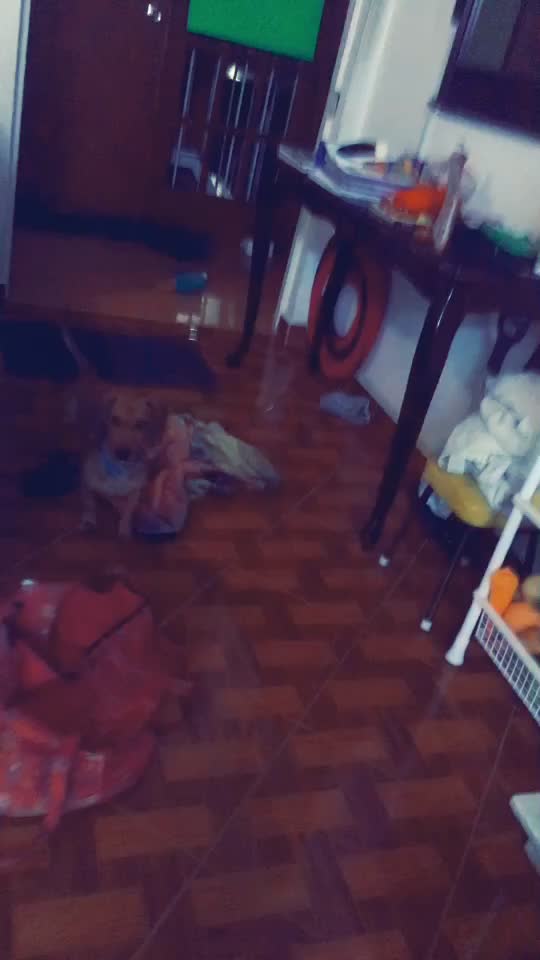 @user32232614785