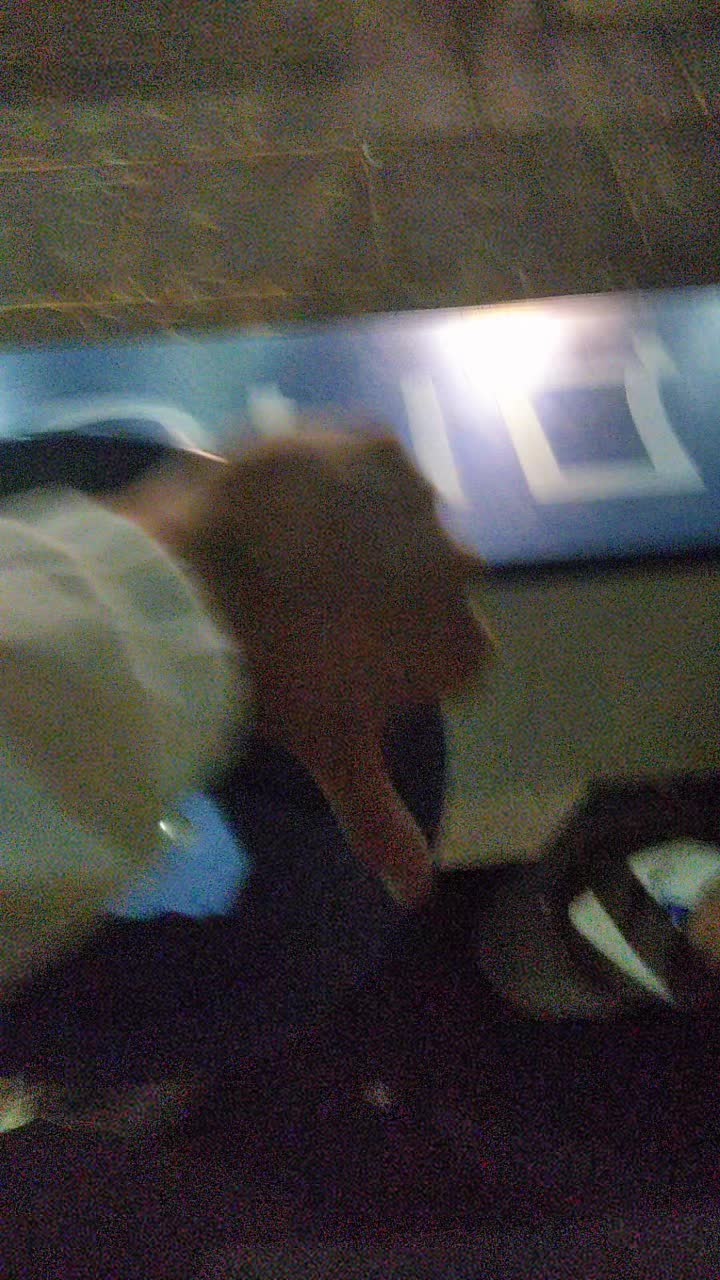@Сеймур☪️