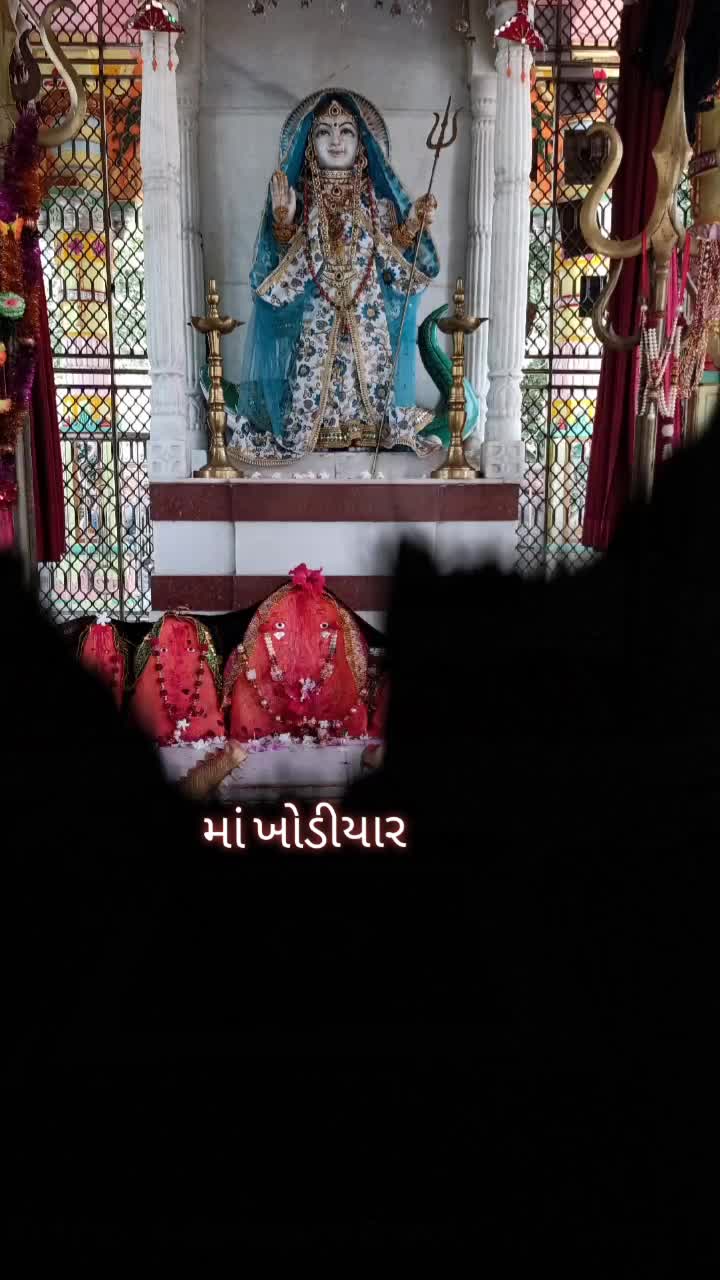 @digbhabharoli076