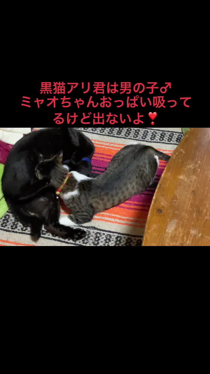 @村上三奈