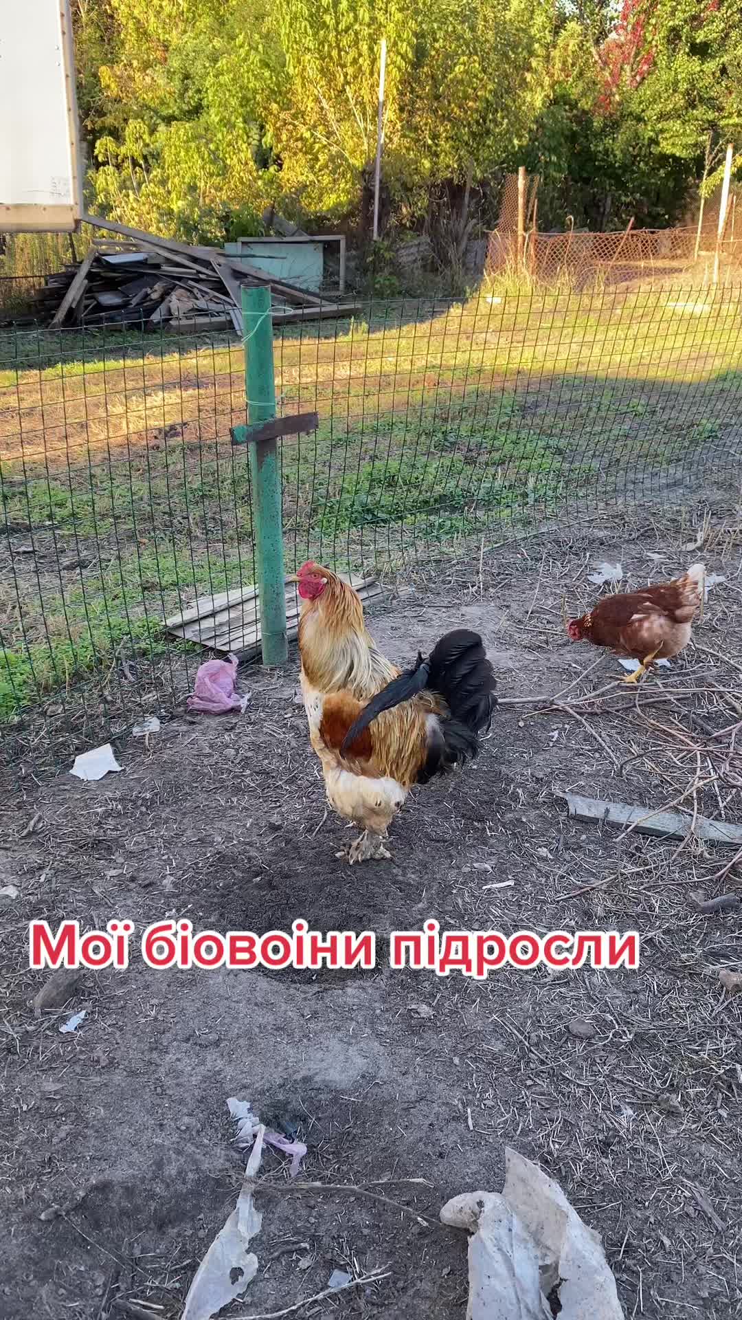 @Ірина Карпова