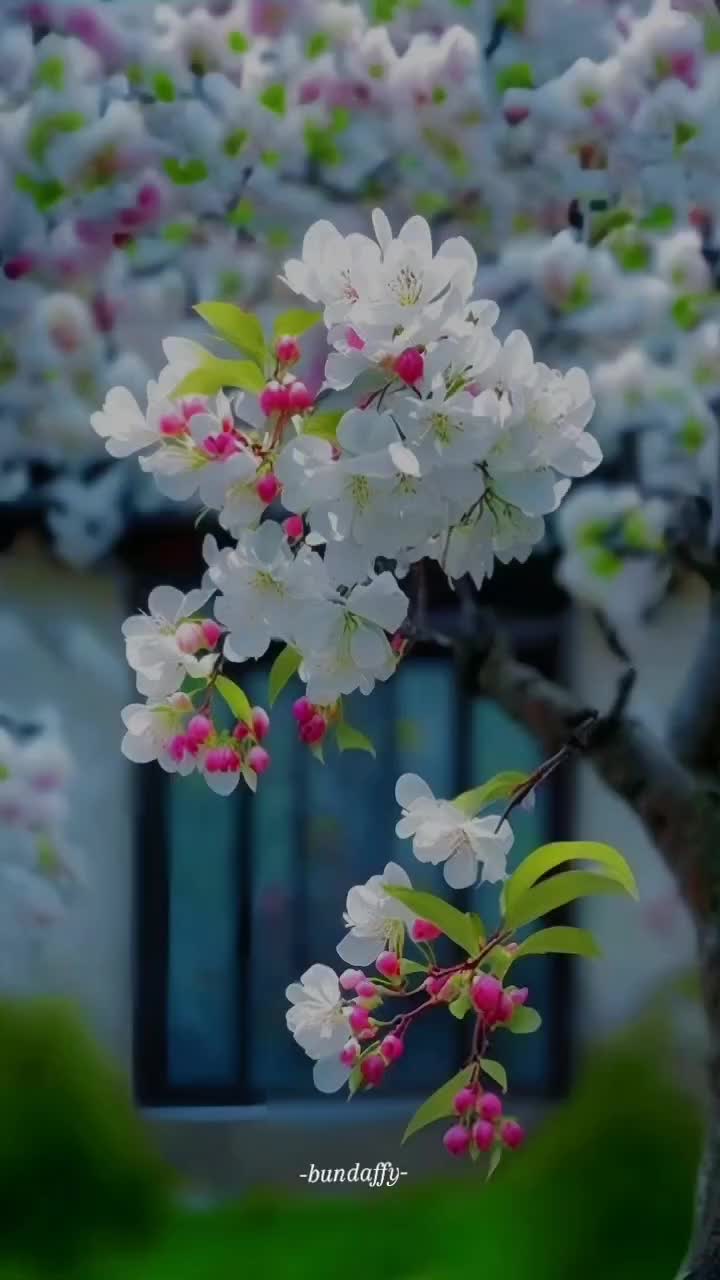 @Hafizah Nazar