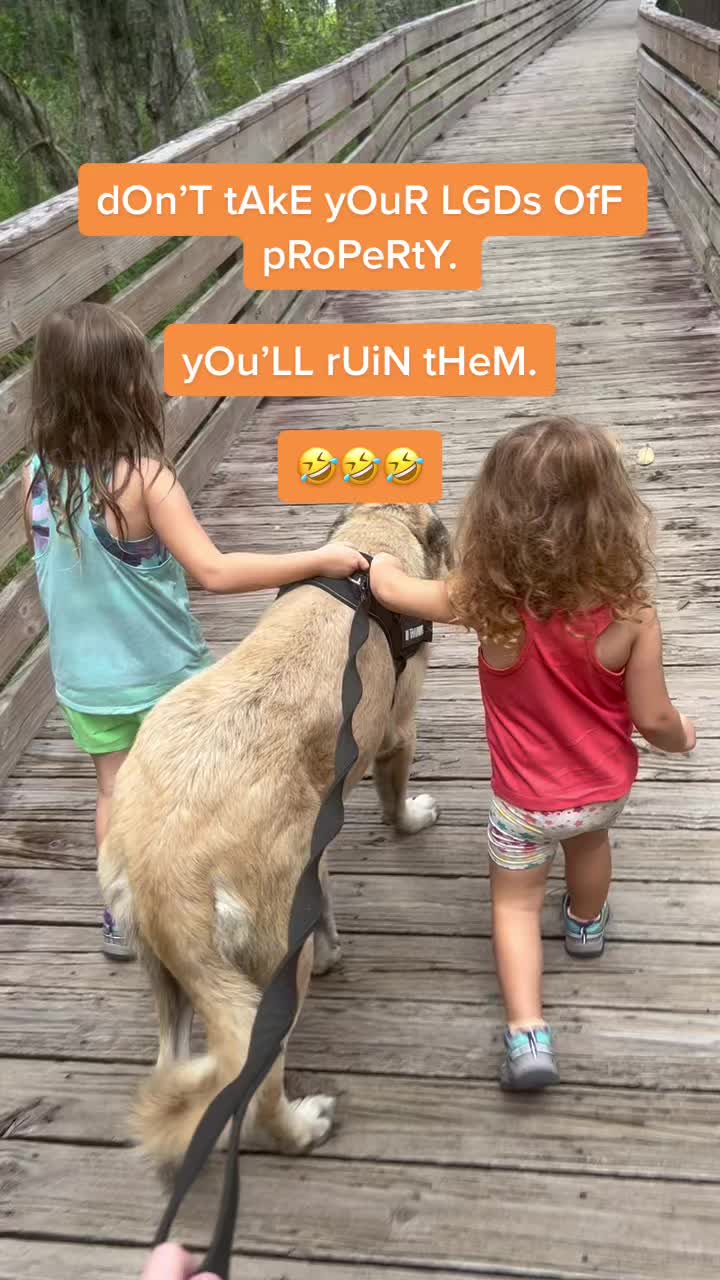 @Suzy | Smoke Show Farms